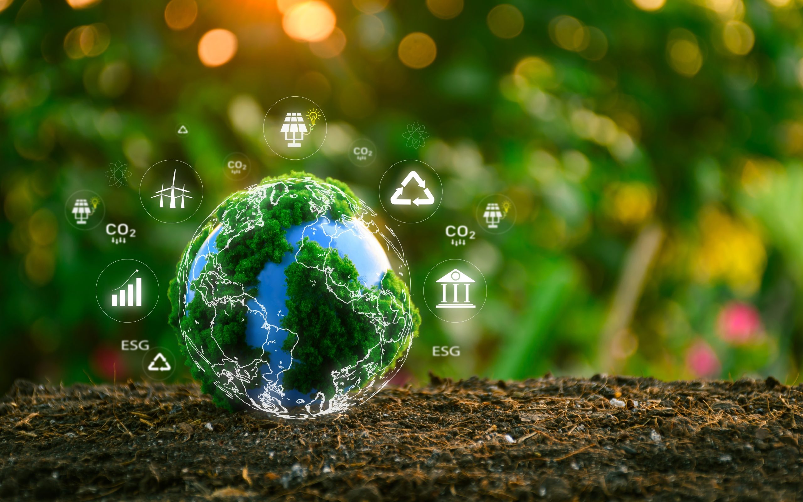 gestão de frotas e impacto ambiental